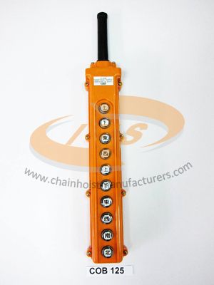 10 Buttons Crane Switch Control