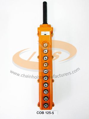 10 Buttons Crane Switch Control